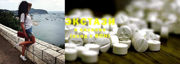 ECSTASY Няндома