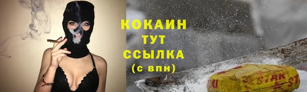 ECSTASY Няндома