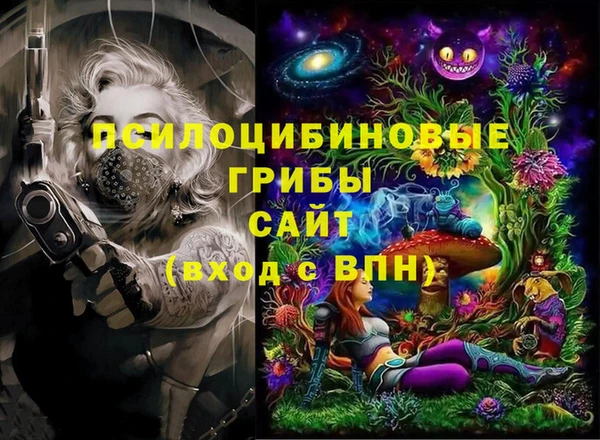ECSTASY Няндома