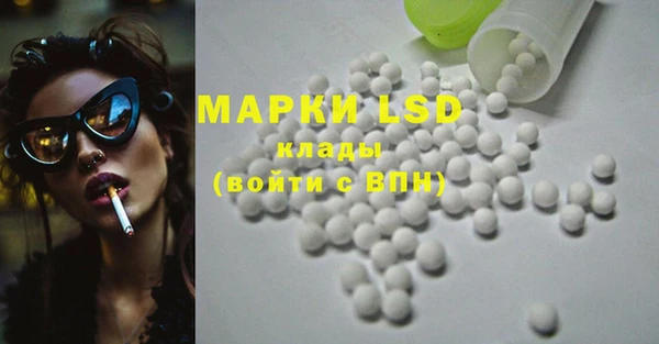 ECSTASY Няндома
