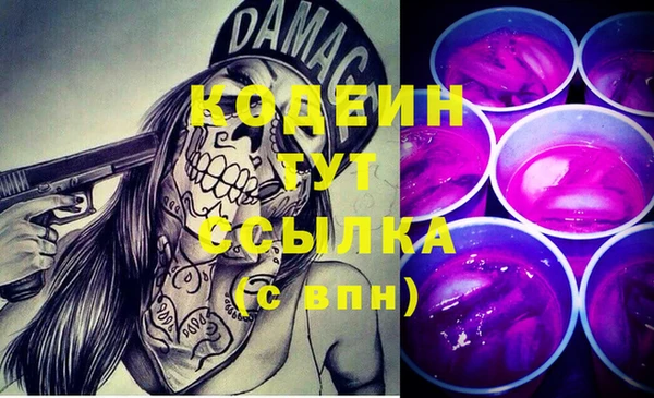ECSTASY Няндома