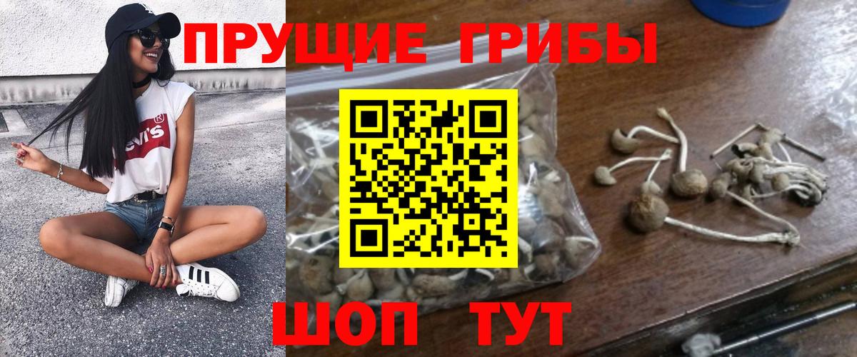 Шумерля  Псилоцибиновые грибы прущие грибы  Вход с VPN 