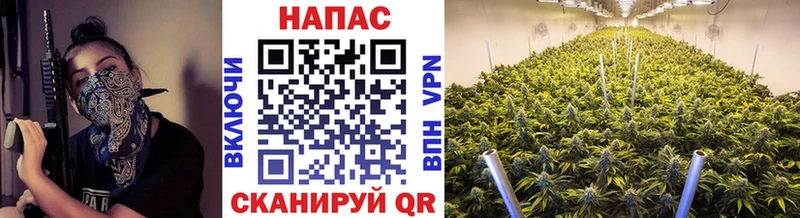 mega зеркало Шумерля Каннабис сатива
